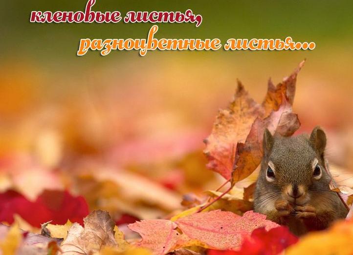 Яркие статусы и цитаты про сентябрь
