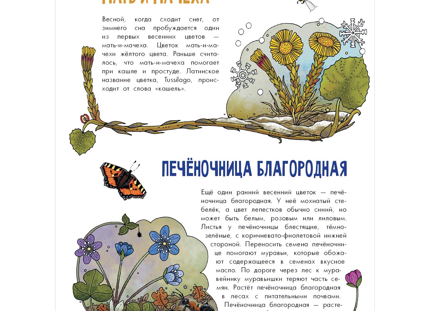 Сошли снега | Стихи о новогодних снах весной