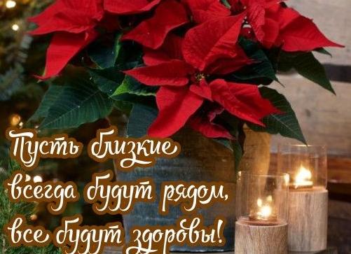 В Рождественский сочельник